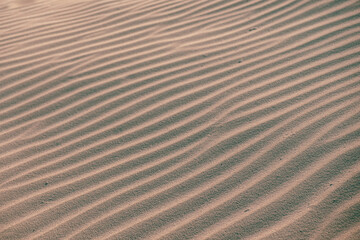 Rippled sea sand. Flat floor. Top view