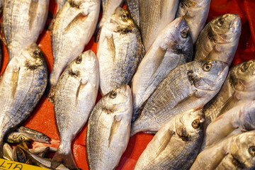 Sea Bream at the Fish Market