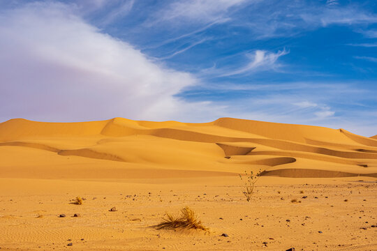 beautiful view in the Desert Sahara in Algeria © Oleksij