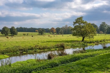 The river severn cutting through attingham park Shropshire 