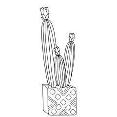 Linear sketch coloring plants of the succulent, cactus family in flower pots. Vector graphics.