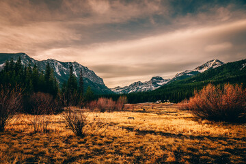 beautiful mountains of Montana 