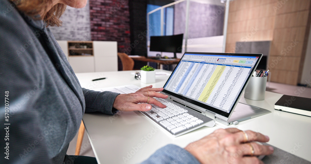 Poster electronic spreadsheet analyst or auditor using software
