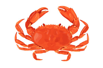 crab isolated on white