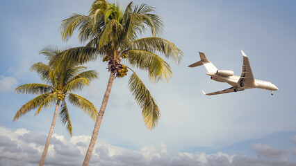 private jet arrives above palm trees