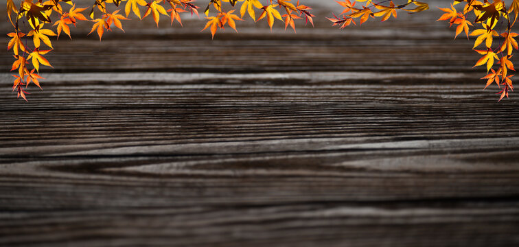Autumn background from branches with yellow leaves and wooden dark background. Free space, top view, autumn splash.