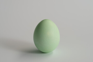 green easter egg on white background