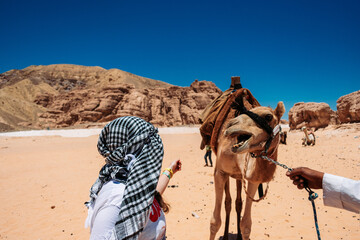 girl petting camel in the desert of egypt