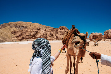 girl petting camel in the desert of egypt