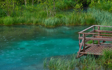 Obraz premium Clear waters of a small lake on a rainy day in Zelenci nature reserve, Slovenia