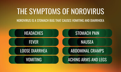 symptoms of Norovirus infection. Vector illustration for medical journal or brochure.