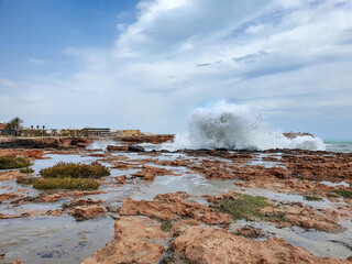 Vega Baja del Segura - Torrevieja - Calas de Torrevieja paisajes junto al mar Mediterráneo II