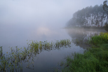 mist on the lake