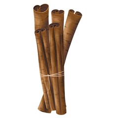 Bunch of isolated hand drawn watercolor cinnamon spice sticks.