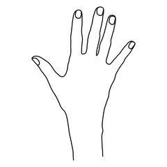 one line art drawing of woman hand vector line art vector illustration