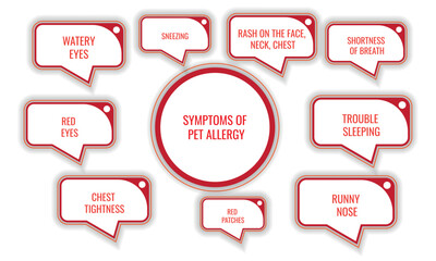 symptoms of pet allergy. Vector illustration for medical journal or brochure.