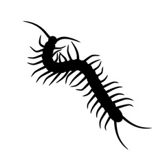 Black silhouette of centipede.