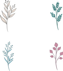Botanical color illustrations, vector set with drawn leaves, herbs and flowers, collection of flowers isolated on a white background