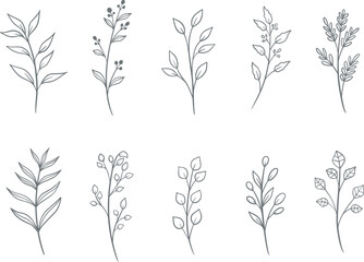 Set of hand drawn doodle floral elements. vector graphic botanical elements