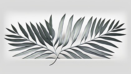  a drawing of a palm leaf on a white background with a shadow of the leaves on the left side of the frame and the top of the picture on the right side of the left side of the frame.  generative ai