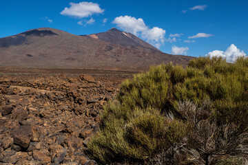 Teide National Park Tenerife Canary Islands, Spain