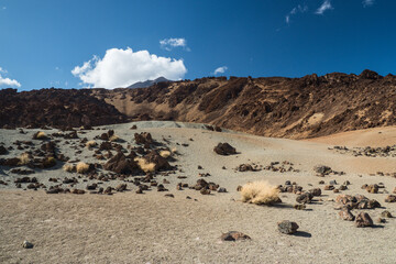 Fototapeta na wymiar Teide National Park Tenerife Canary Islands, Spain