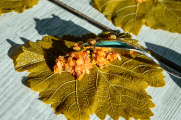 Preparation of Dolma or Sarma from grape leaves.  Traditional Turkish food.
