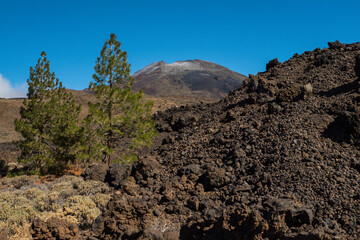 Volcanic area at El Teide National Park impression Tenerife Canary Islands, Spain