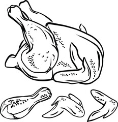 Whole chicken, chicken legs and wings, black outline. Grilled chicken. Part cutting of roasted and raw chicken, set. Vector illustration.