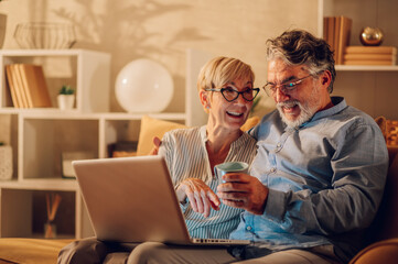 Senior couple using laptop while sitting on a couch at home