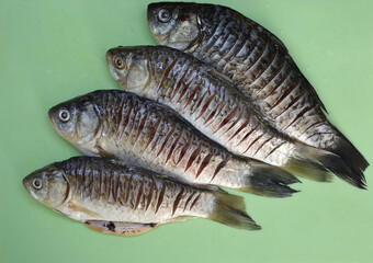 Raw peeled and gutted crucian carp on a green board. fish prepared for dinner or lunch.River organic fish