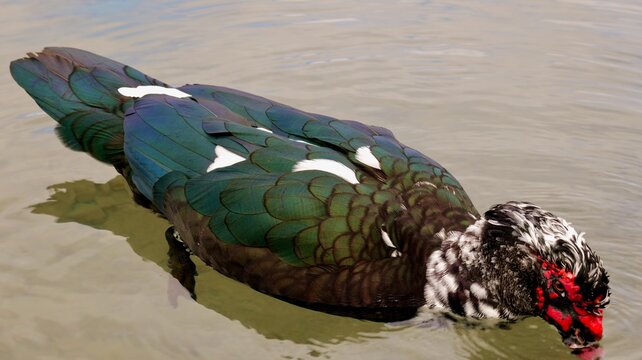 fortgragia del cauce del rio Turia a su paso por bufara