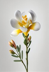 Beautiful Freesia flower on a light colored background - generative ai