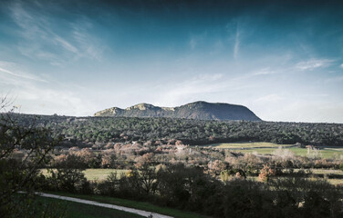 landscape in the mountains