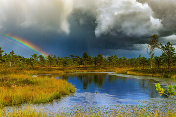 The beauty of nature. Landscape of a national park before a thunderstorm. Heavy dark beautiful blue clouds, bright rainbow, blue lake and green grass and trees.Nature before the storm.Warm summer day.