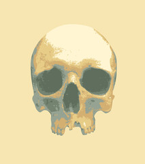vector human skull. Graphic print for clothes, fabric, wallpaper, wrapping paper, design element for halloween party