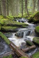 mountain stream in the forest - long exposure and flowing water