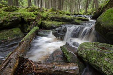 mountain stream in the forest - long exposure and flowing water