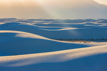 Sunny view of the landscape of White Sands National Park