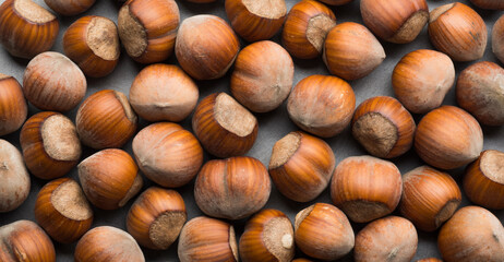 beautiful hazelnuts on a gray background