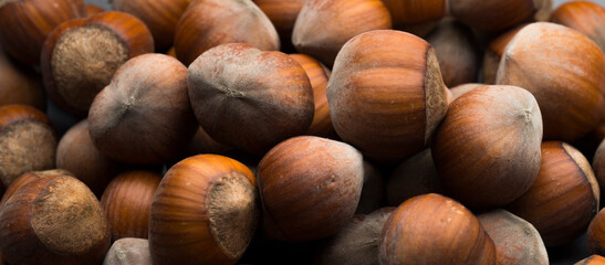beautiful hazelnuts on a wooden background