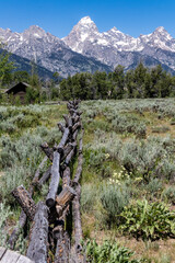 Historic fence--They don't make them like this anymore!