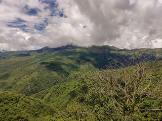 Fototapeta na wymiar montaña, ecosistema de la selva tropical y concepto de medio ambiente saludable