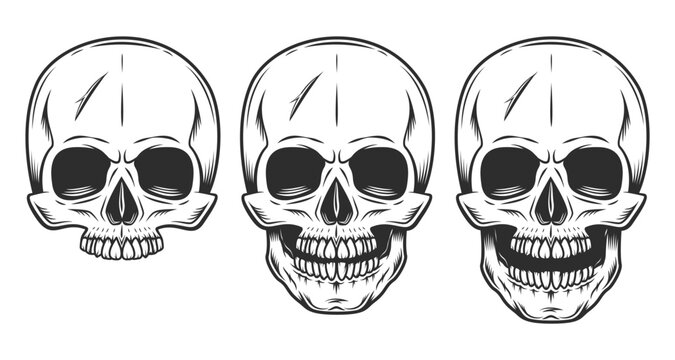 Skull set monochrome illustration on white background