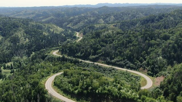 Aerial shot of a winding road passing through a dense green forest and car traveling to its destination