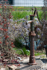 pump in the garden