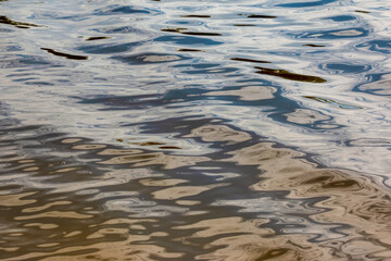 Water ripple texture background. Wavy water surface during sunset, golden light reflecting in the water.