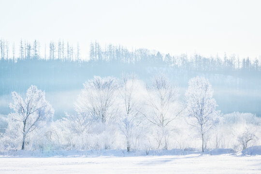 最上の品質な Browse – Images 雪景色 116,095 and Vectors, Photos, Stock 工芸品