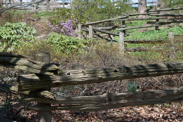 wooden fence in the park