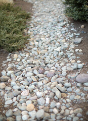 rocks on the ground textured material